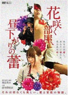 深空回声剧集封面